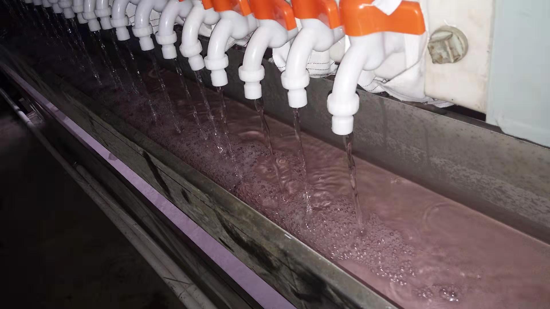 1574034226582217.jpg 1574034226582217.jpg